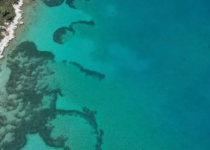 Blue Time Boutique *